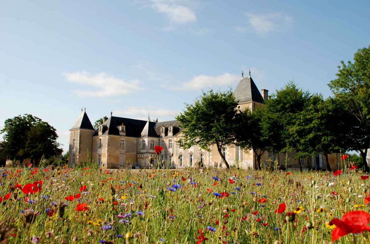 Murder Party au Château de Panloy le 17 juin&nbsp;2022